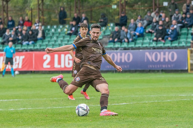 马球迷带来 马球迷带来