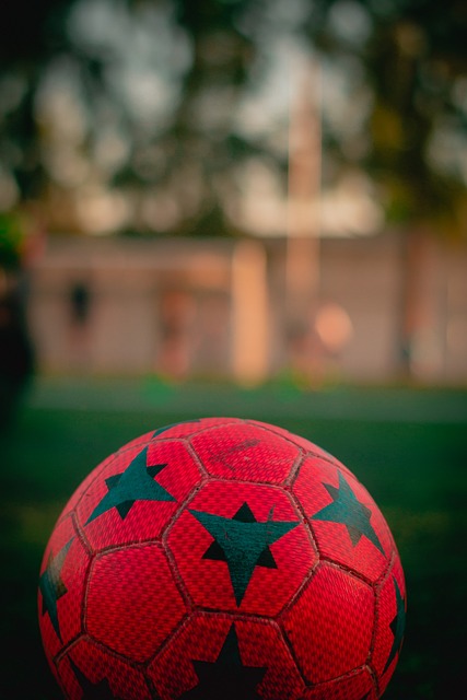 不会因一场 不会因一场