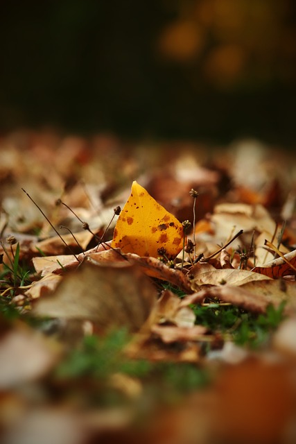 努力仍值得 努力仍值得