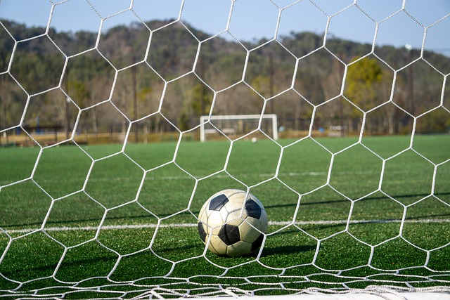 到了极大的 到了极大的