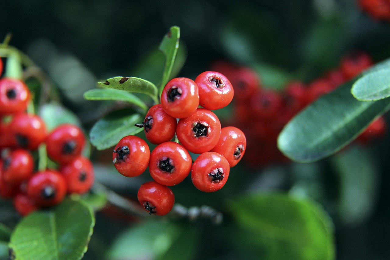 持续关注与 持续关注与